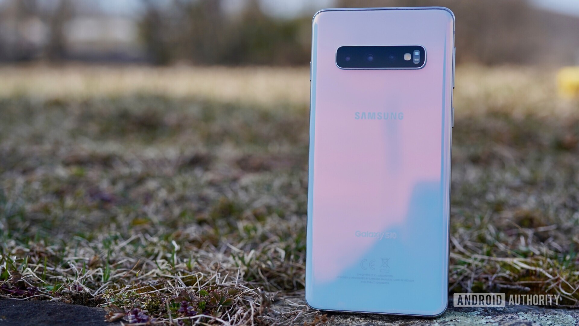 Outdoor photo of the back side of a Samsung Galaxy S10 in white prism color, standing upright on grass.