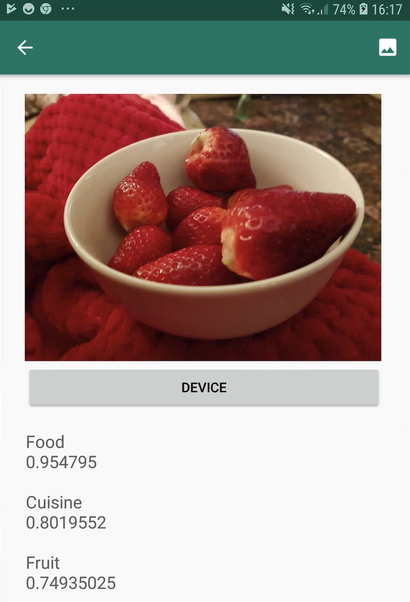screenshot of image recognition machine learning software on android