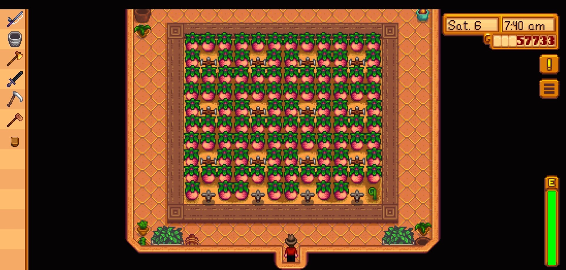 Stardew Valley tips and tricks best crops