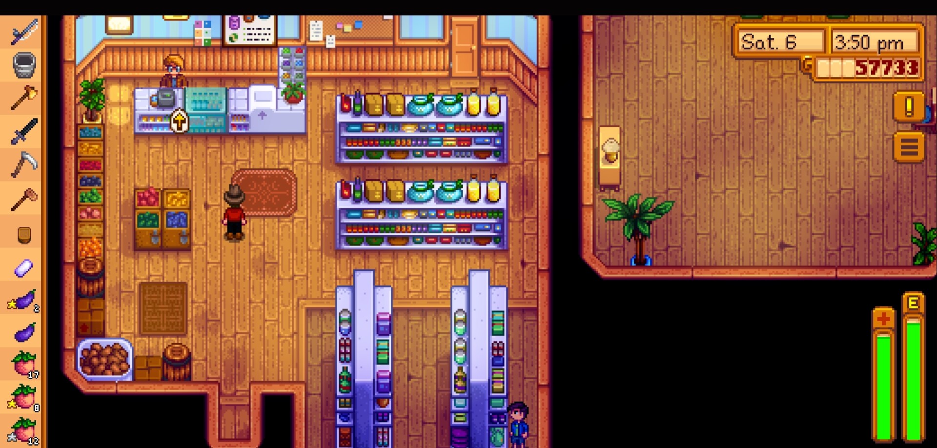 Stardew Valley tips and tricks shop