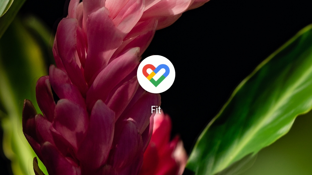 google fit app icon on android home screen