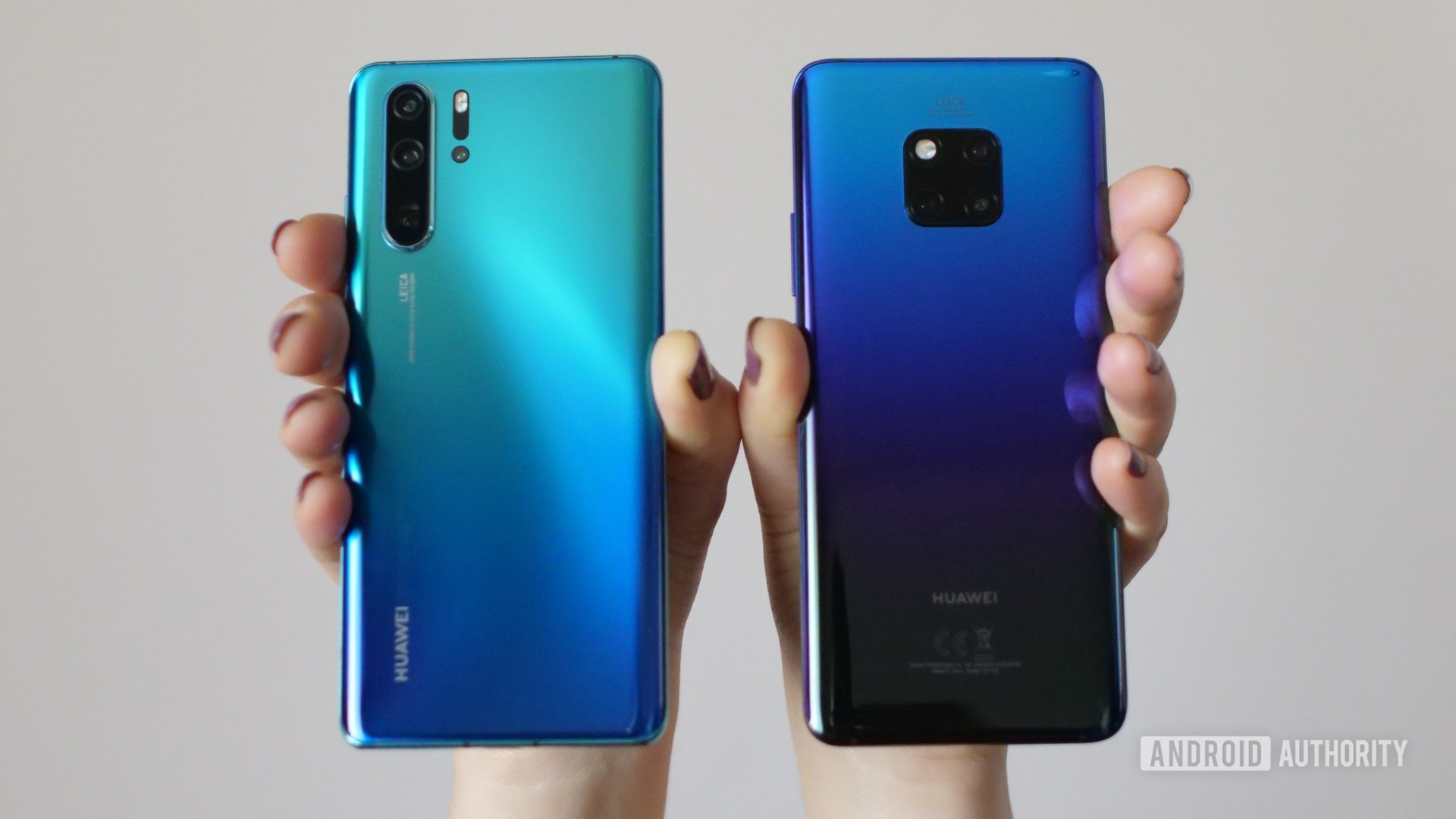 schedel overdrijving vlinder HUAWEI P30 Pro vs Mate 20 Pro: Is the better camera worth it? - Android  Authority
