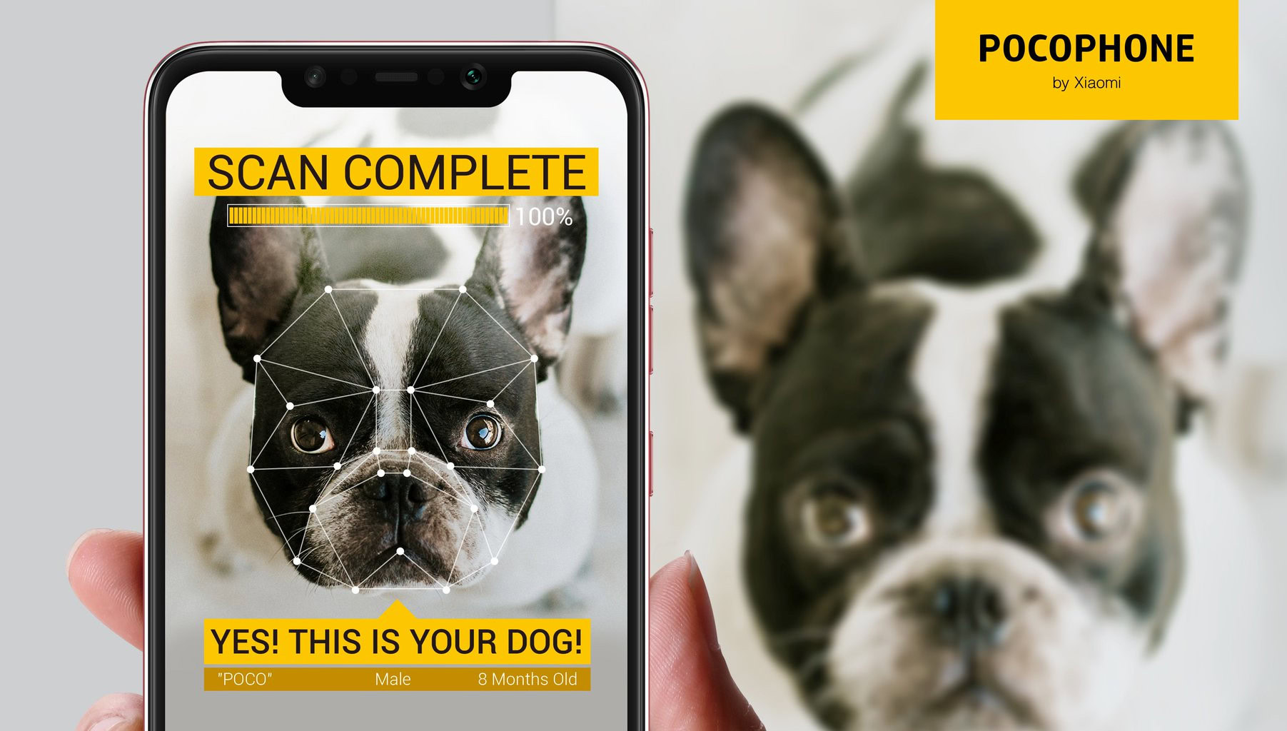 Pocophone's April Fool's Day feature.