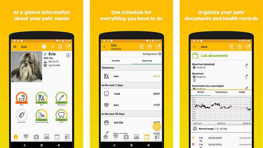 Приложение petting. Pets app. Интерфейс мобильного приложения животные. Дизайн мобильного приложения для животных. Приложение для питомцев.