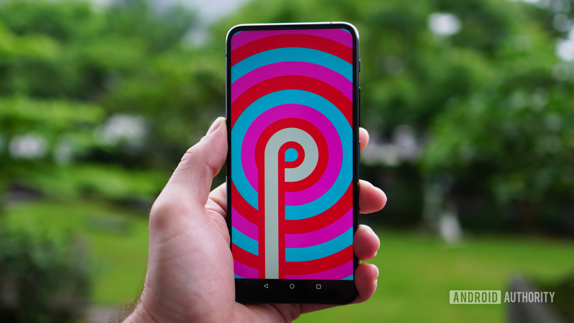 ASUS Zenfone 6 Android Pie easter egg portrait