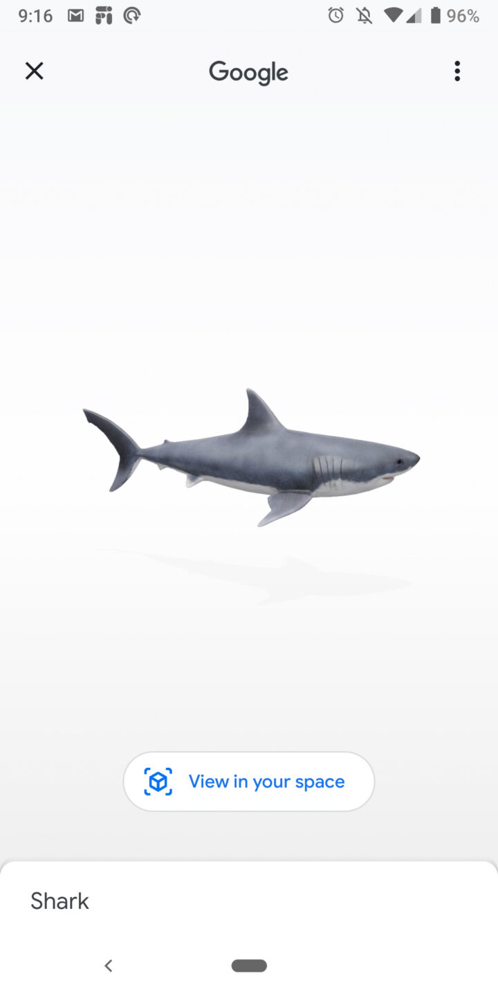 Augmented reality models coming to Google Search - Android Authority