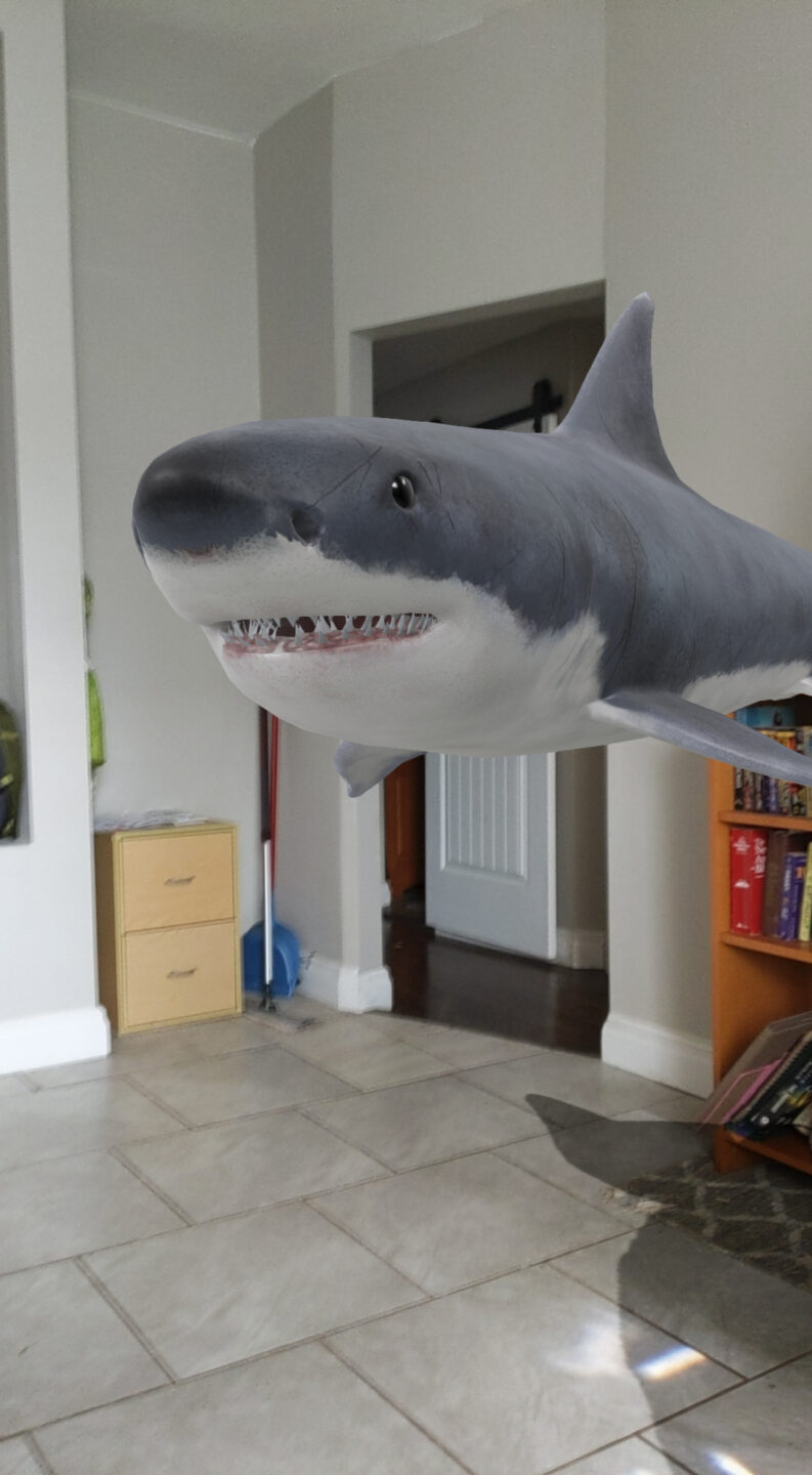 Augmented reality models coming to Google Search - Android Authority