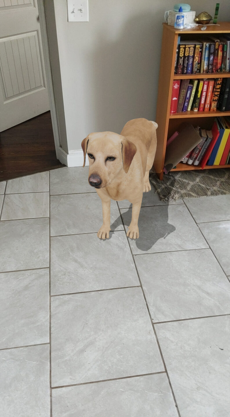 Augmented reality models coming to Google Search - Android Authority