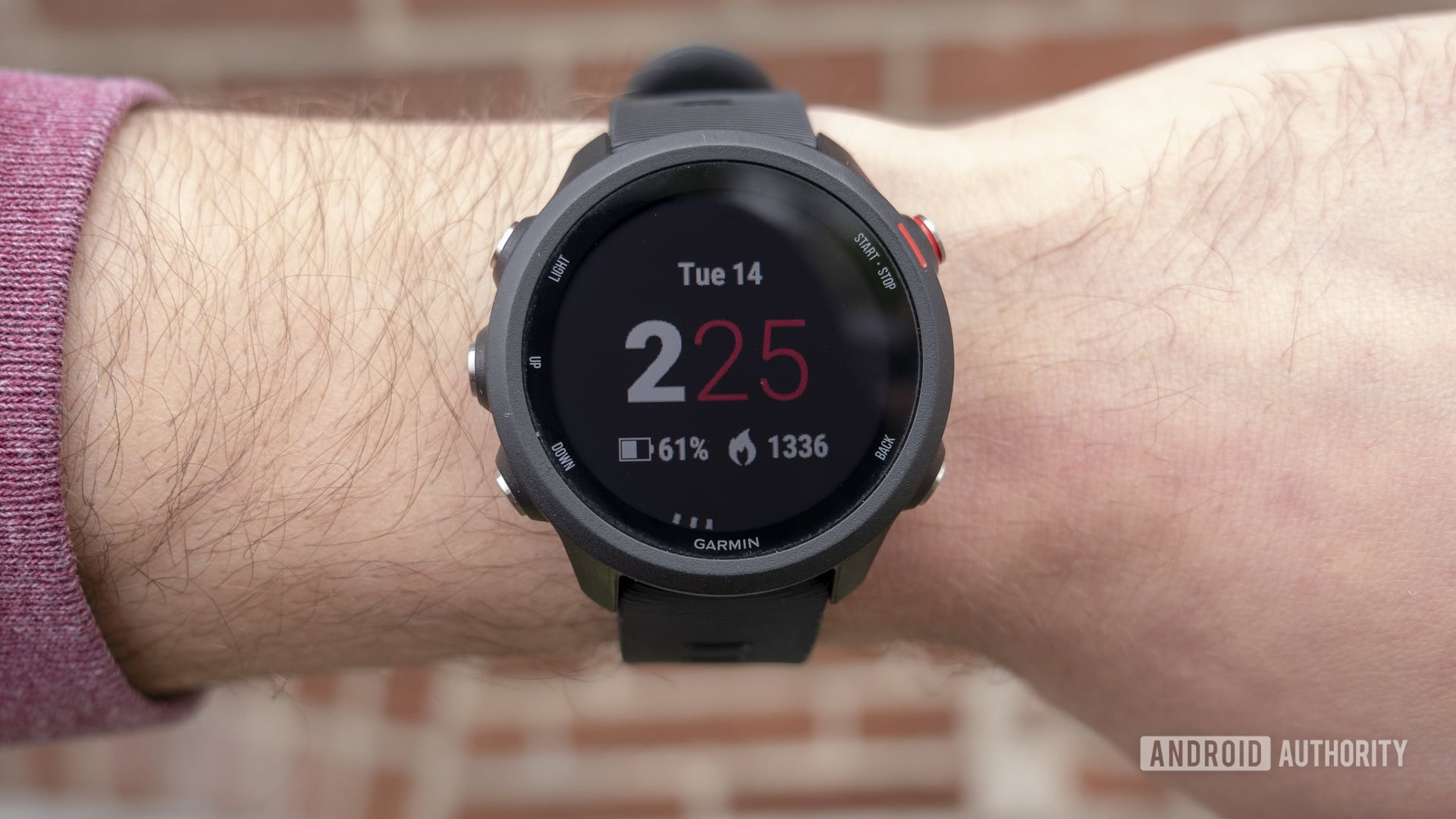 Garmin Forerunner 245 Music GPS Watch Review 