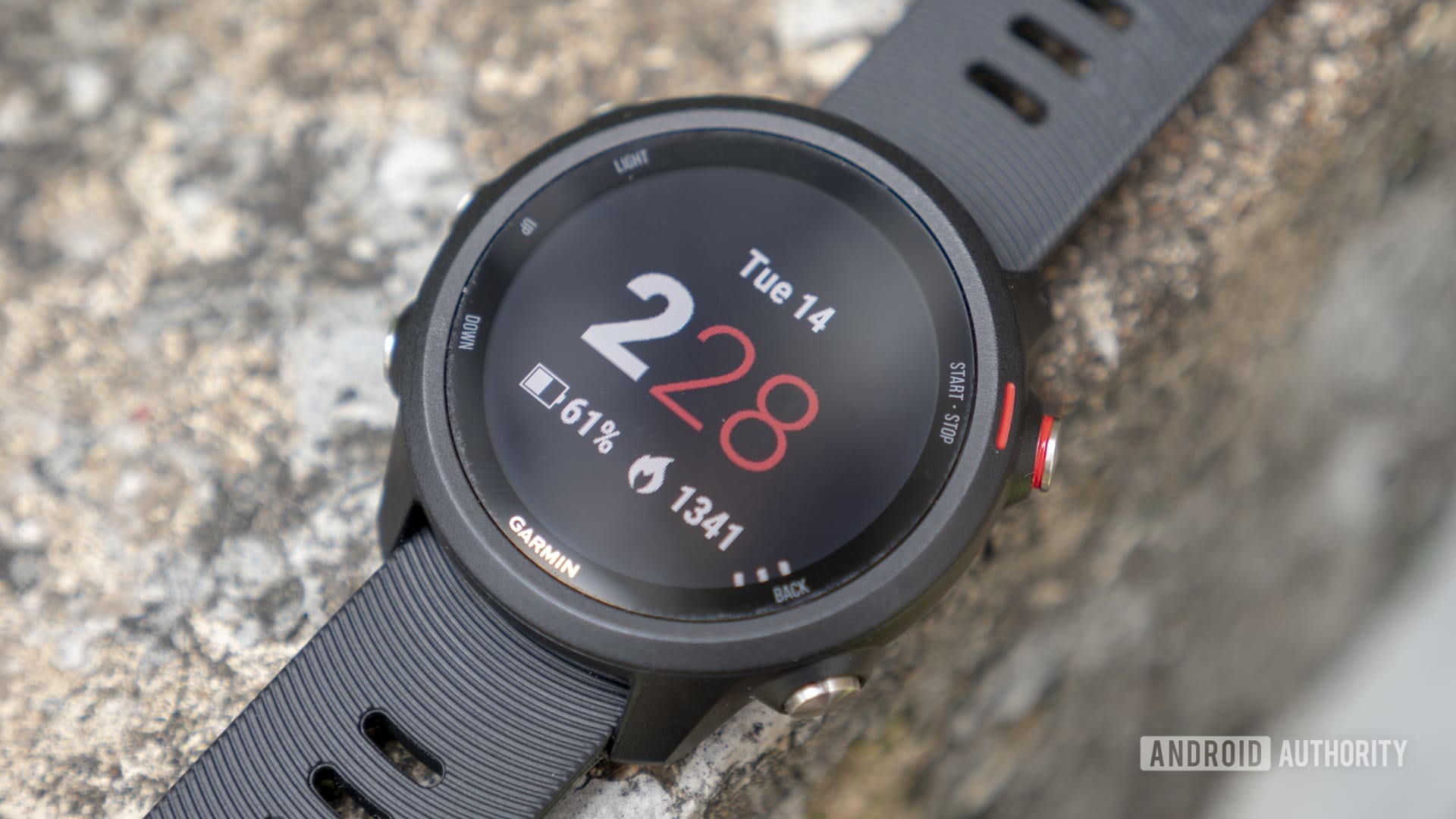 familie piedestal Rejse Garmin Forerunner 245 Music review: Still a great buy in 2021