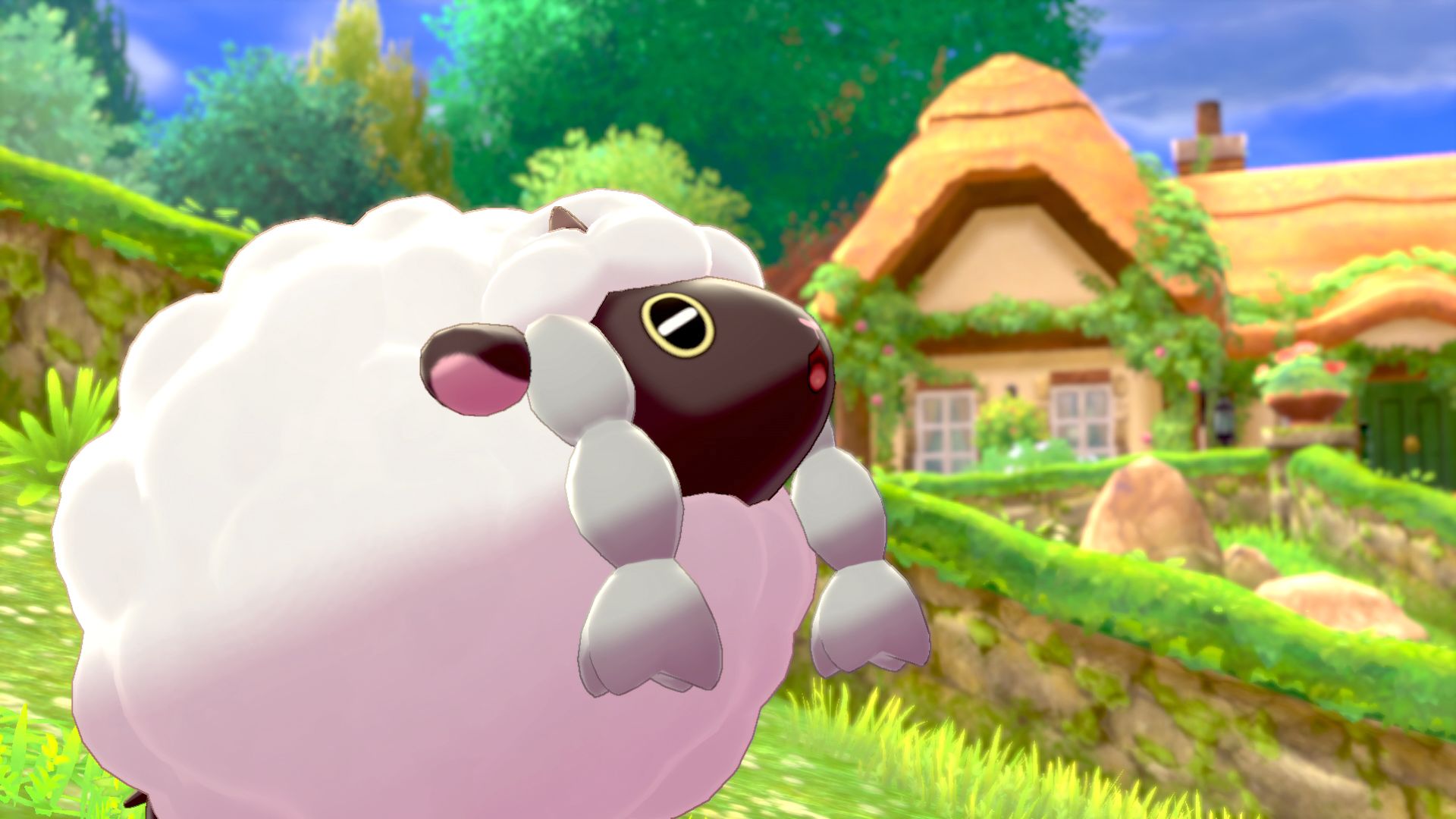 Will there be connectivity between Pokemon Go and Pokemon Sword Shield? -  Dexerto