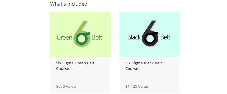 The Complete Six Sigma Green and Black Belt Training Bundle Courses