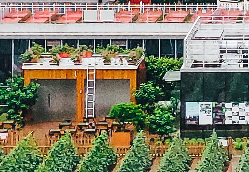 Redmi 64MP sample shot 1 crop 100