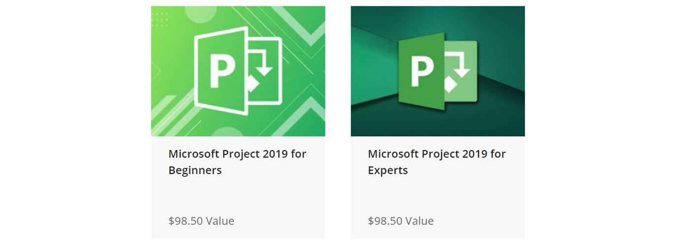 The MS Project 2019 A to Z Bundle