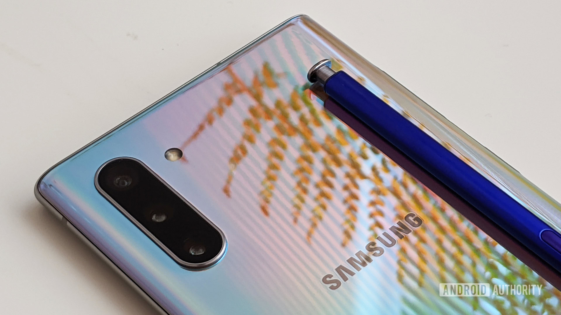 Samsung Galaxy Note 10 camera and S Pen with fern reflection