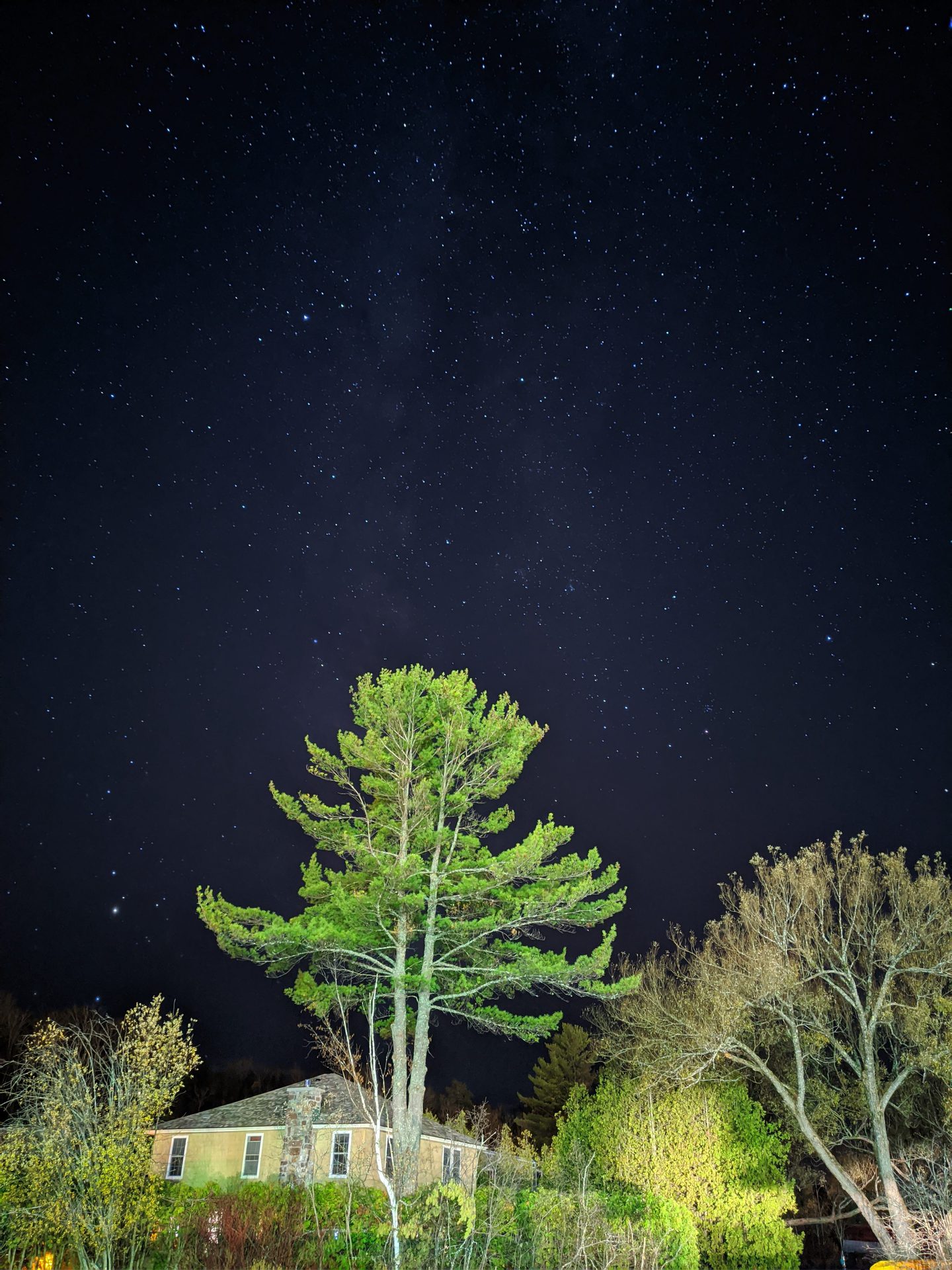 Google Pixel 4 astro mode house tree and sky