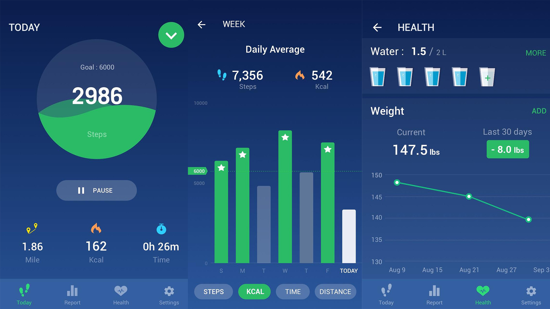 Leap Fitness Step Counter screenshot 2020