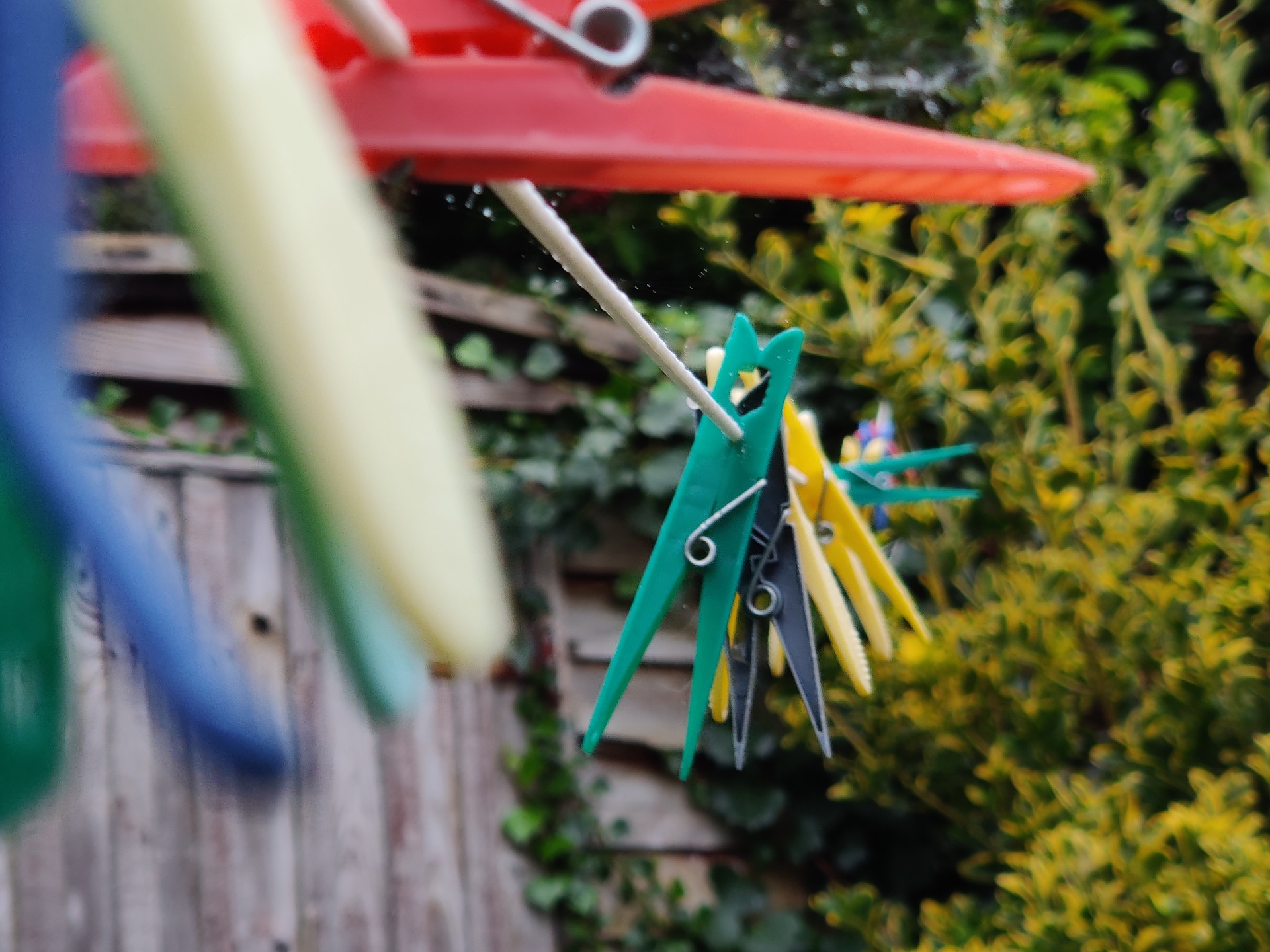 OnePlus 7T Pro Camera Sample Color shot of clothes pegs in a British garden