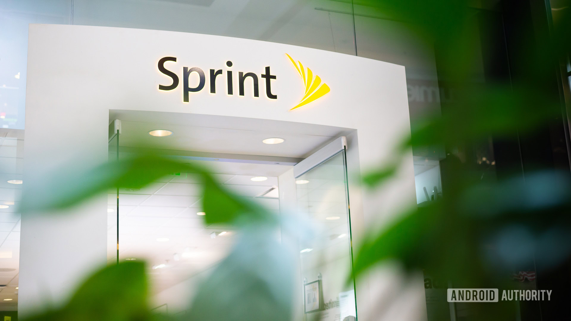 Sprint logo stock image 2