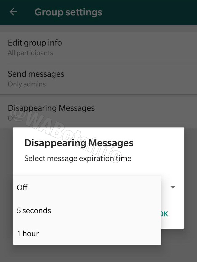 WhatsApp's disappearing messages feature.