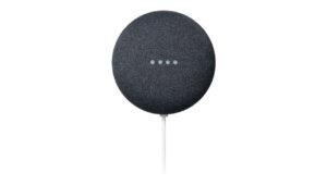 HOW DO YOU RESET A GOOGLE HOME MINI NEST visual data 3