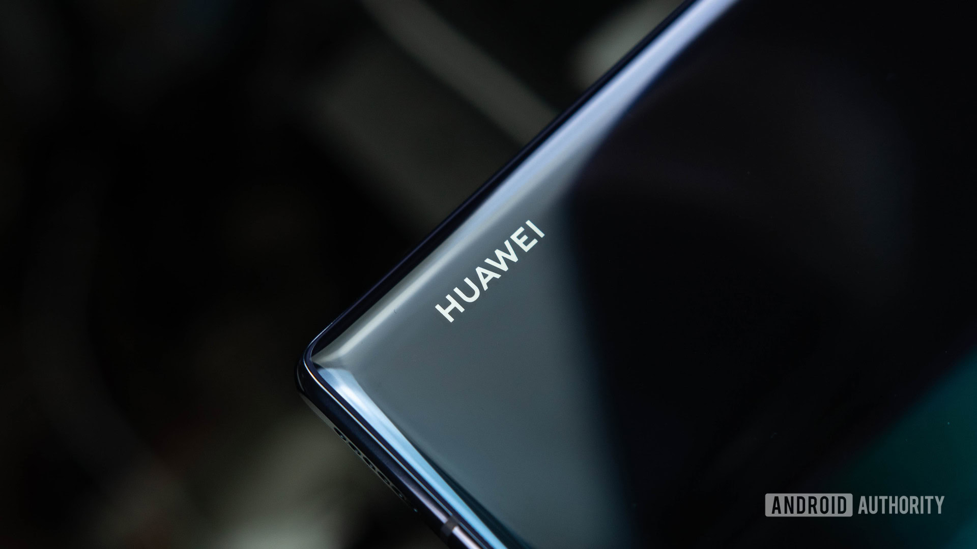 HUAWEI Logo Mate 30 Pro version 2