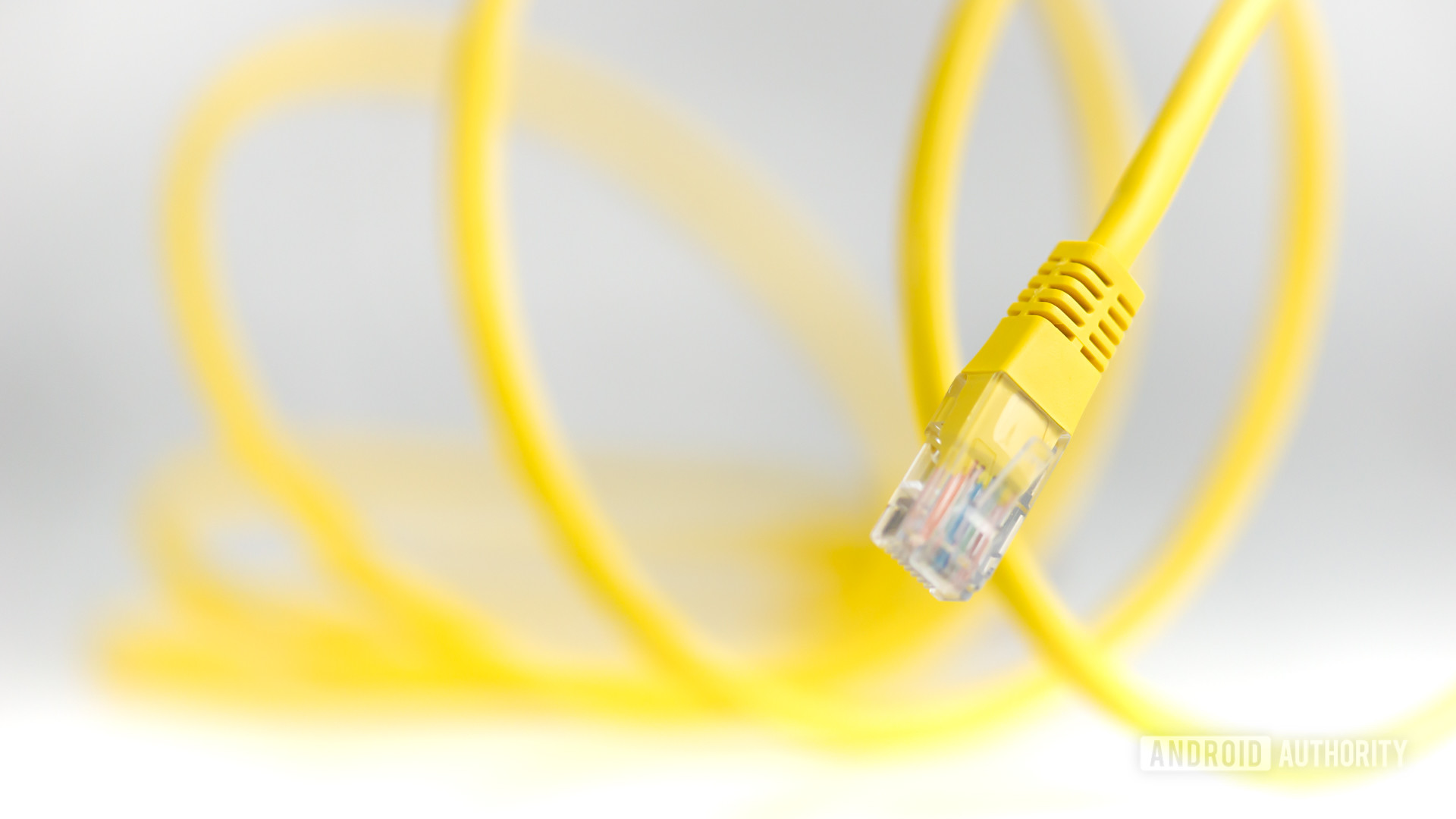 Ethernet cable stock photo 1
