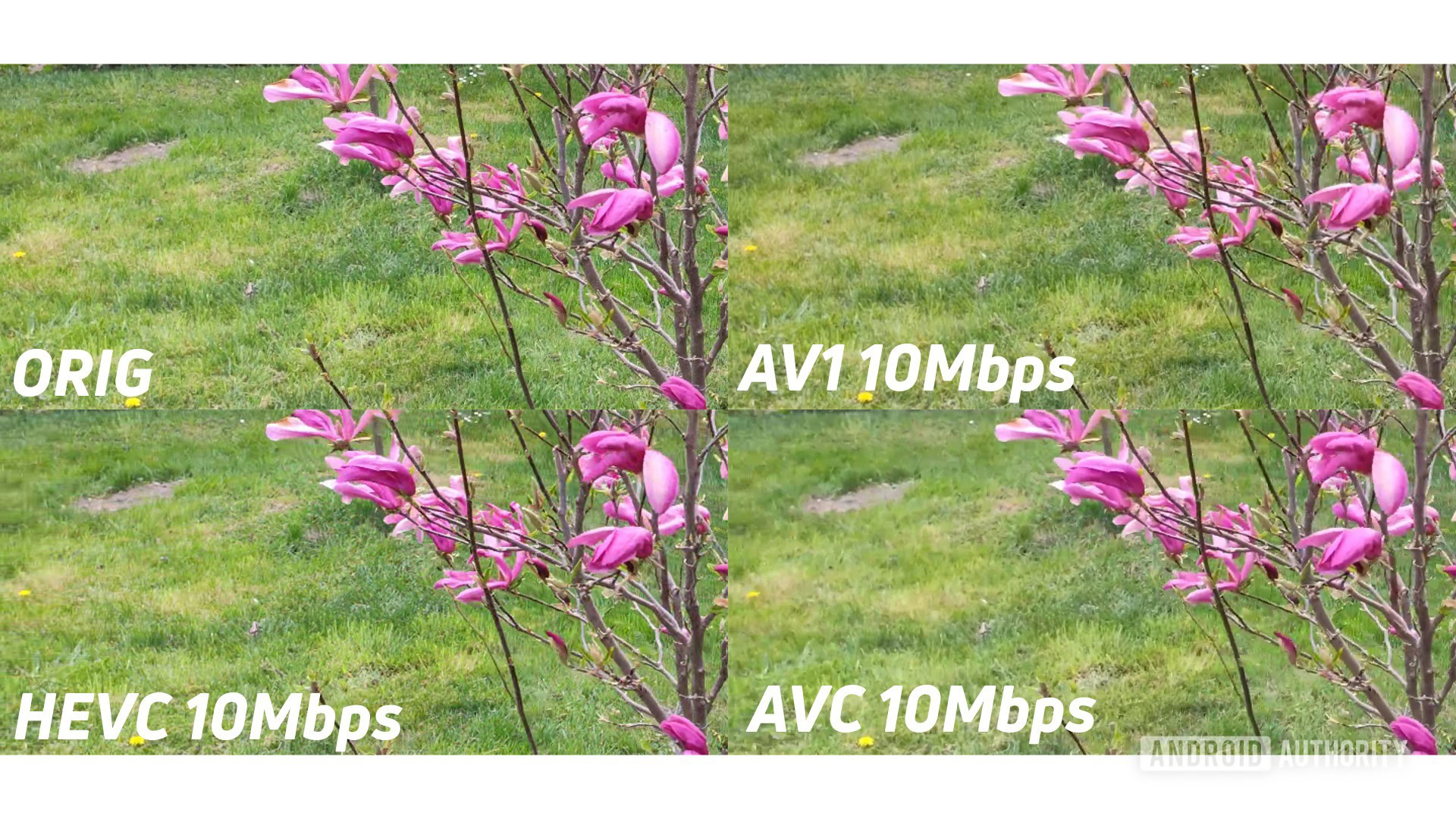 Example of 4k original against AV1 HEVC AVC 10mbps zoomed