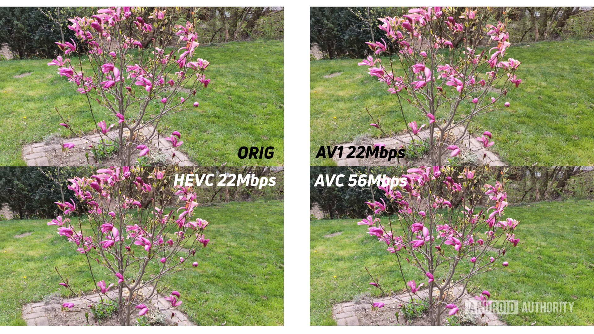 Example of 4k original against AV1 HEVC AVC