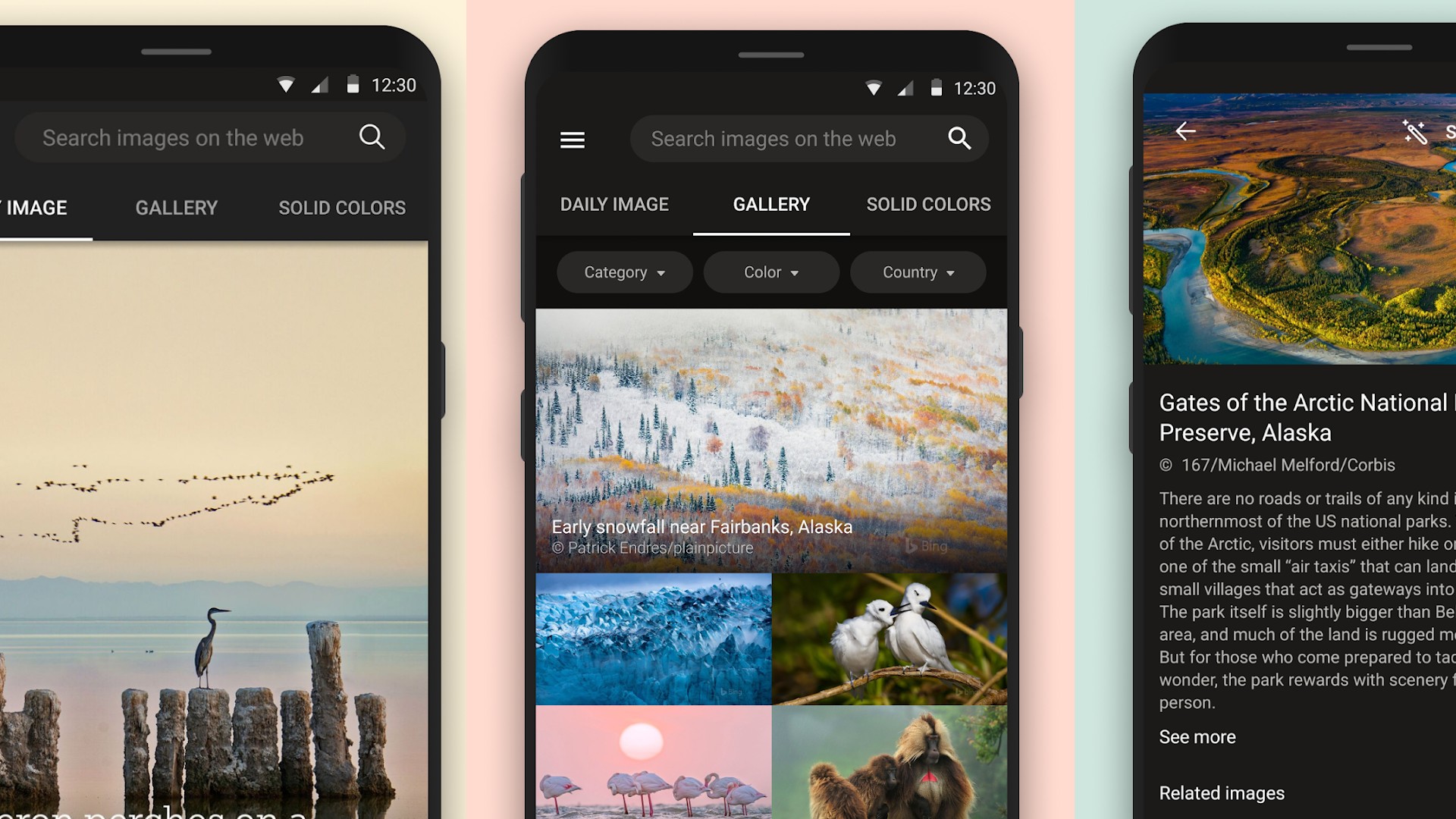 Microsoft launches Bing Wallpapers app - Android Authority