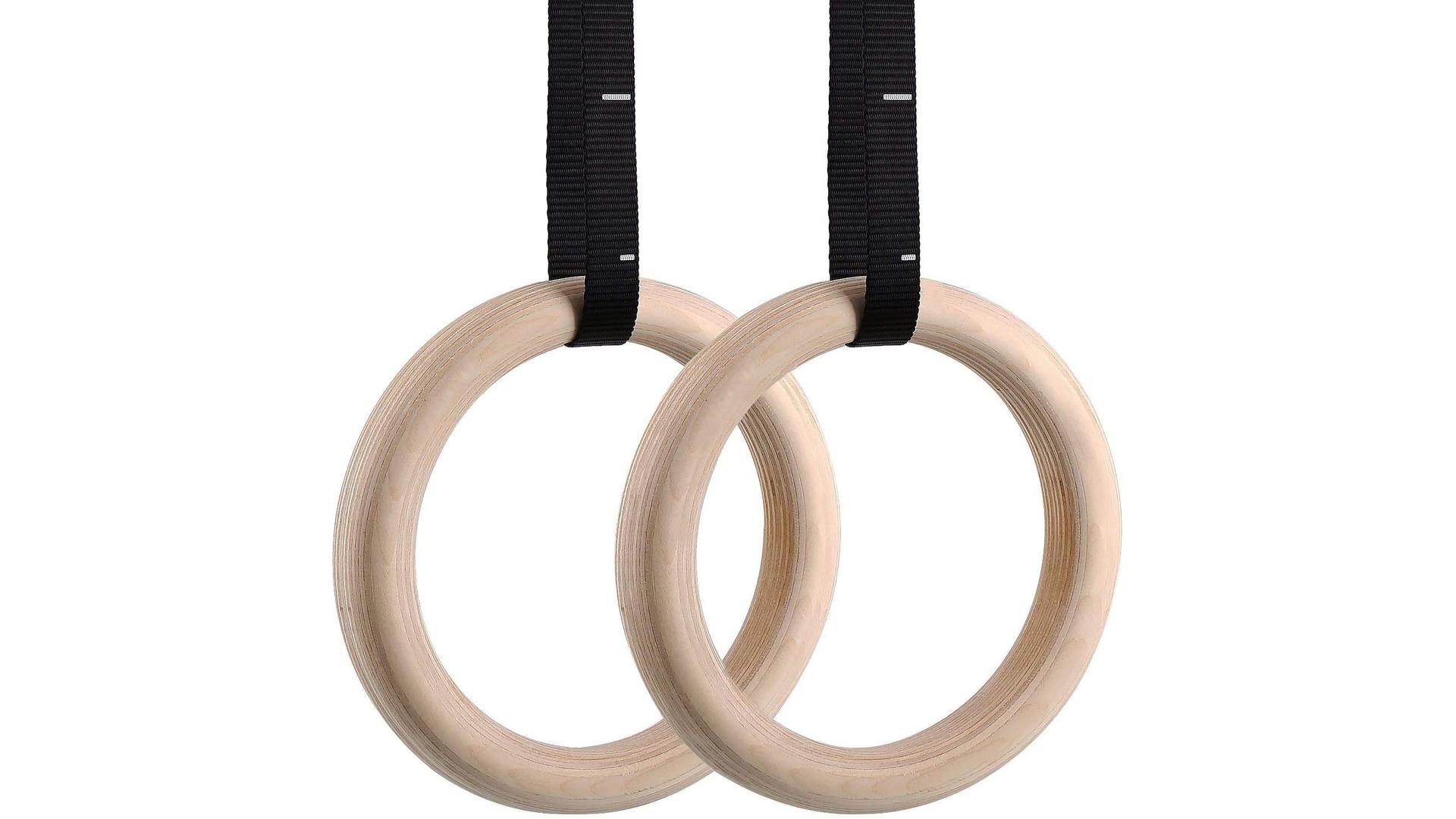 gymnastic rings 1 16x9