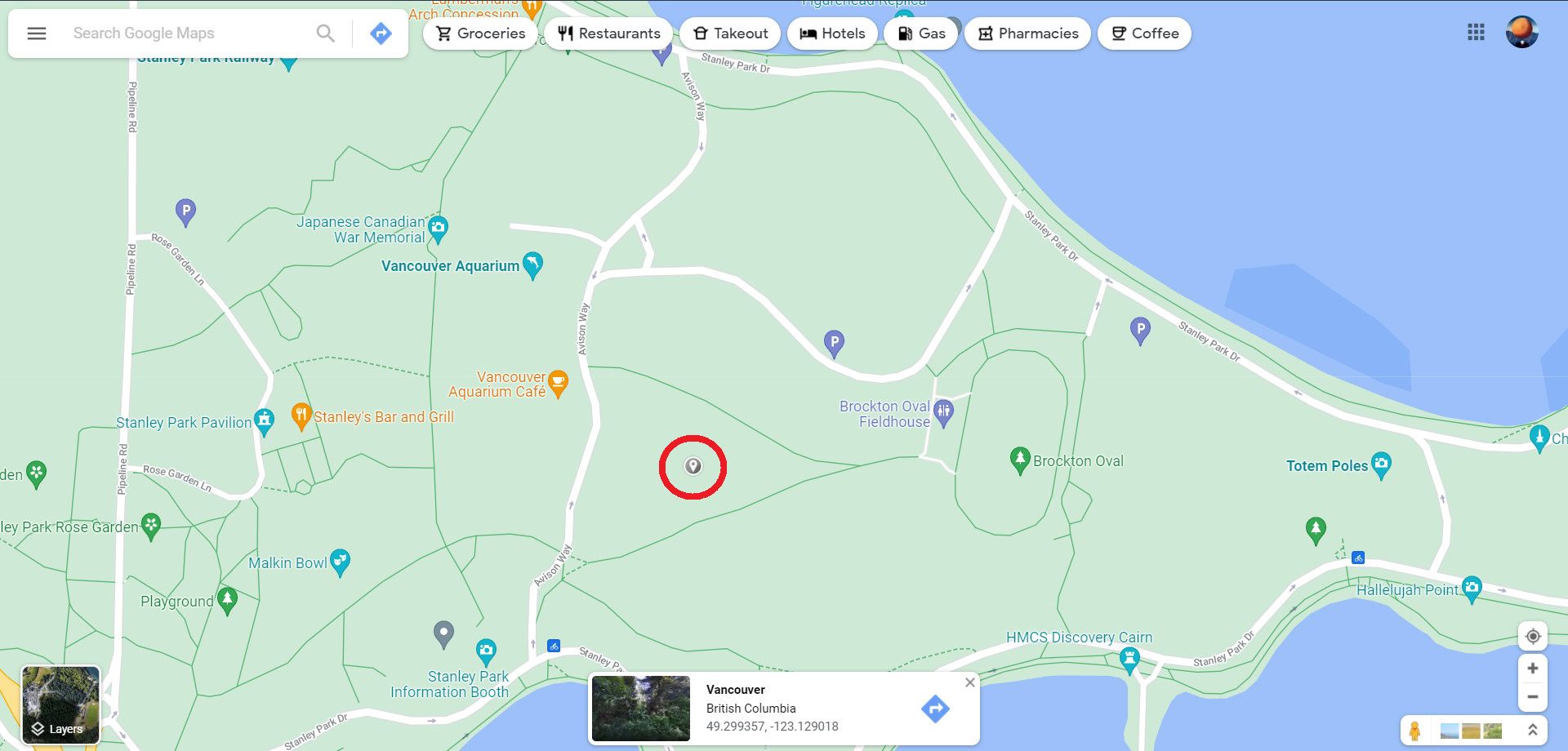 Google Maps desktop drop pin