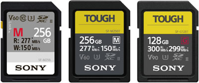 Sony SD Card REcall