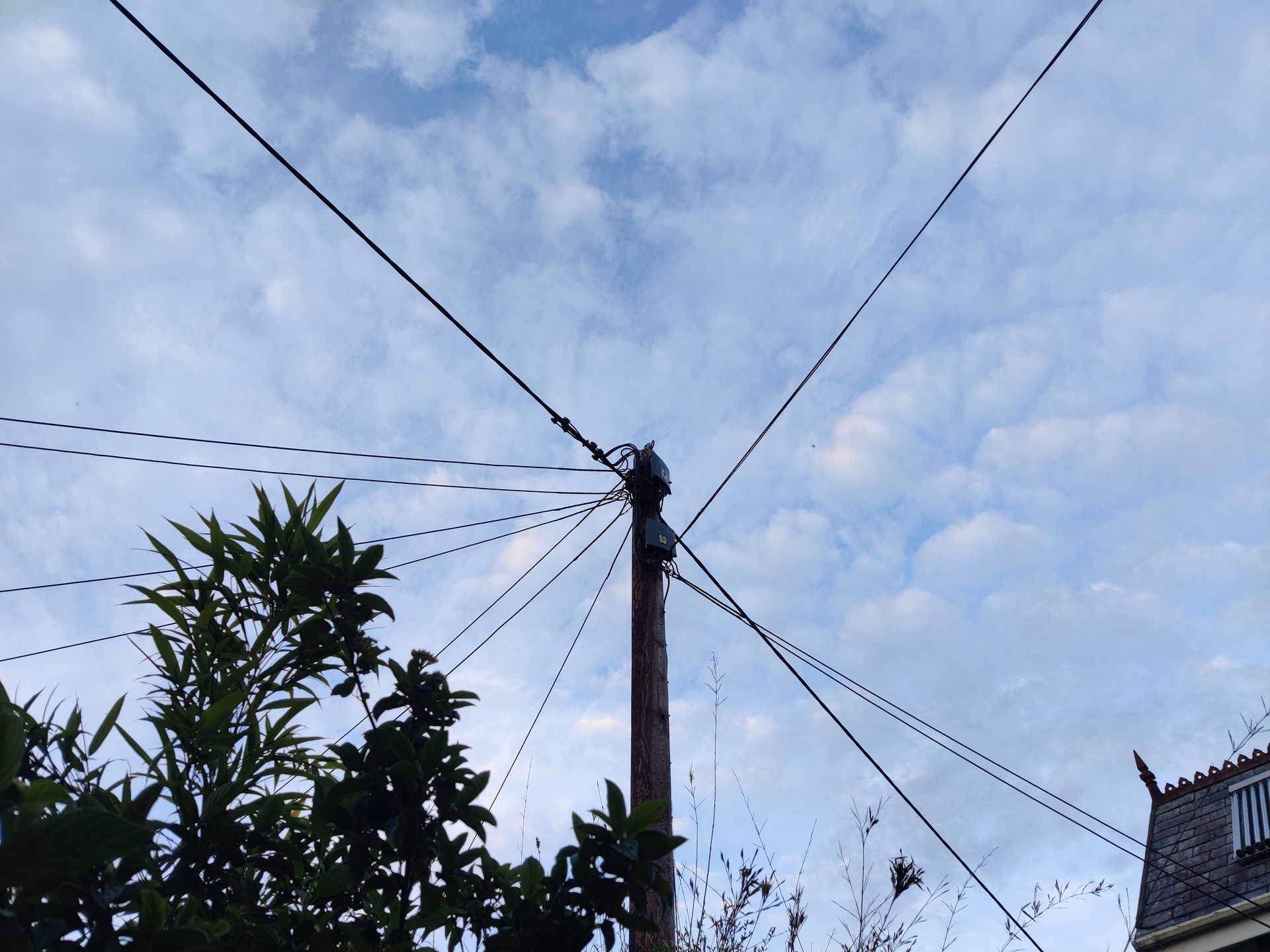 OnePlus Nord test image main shot of telegraph pole