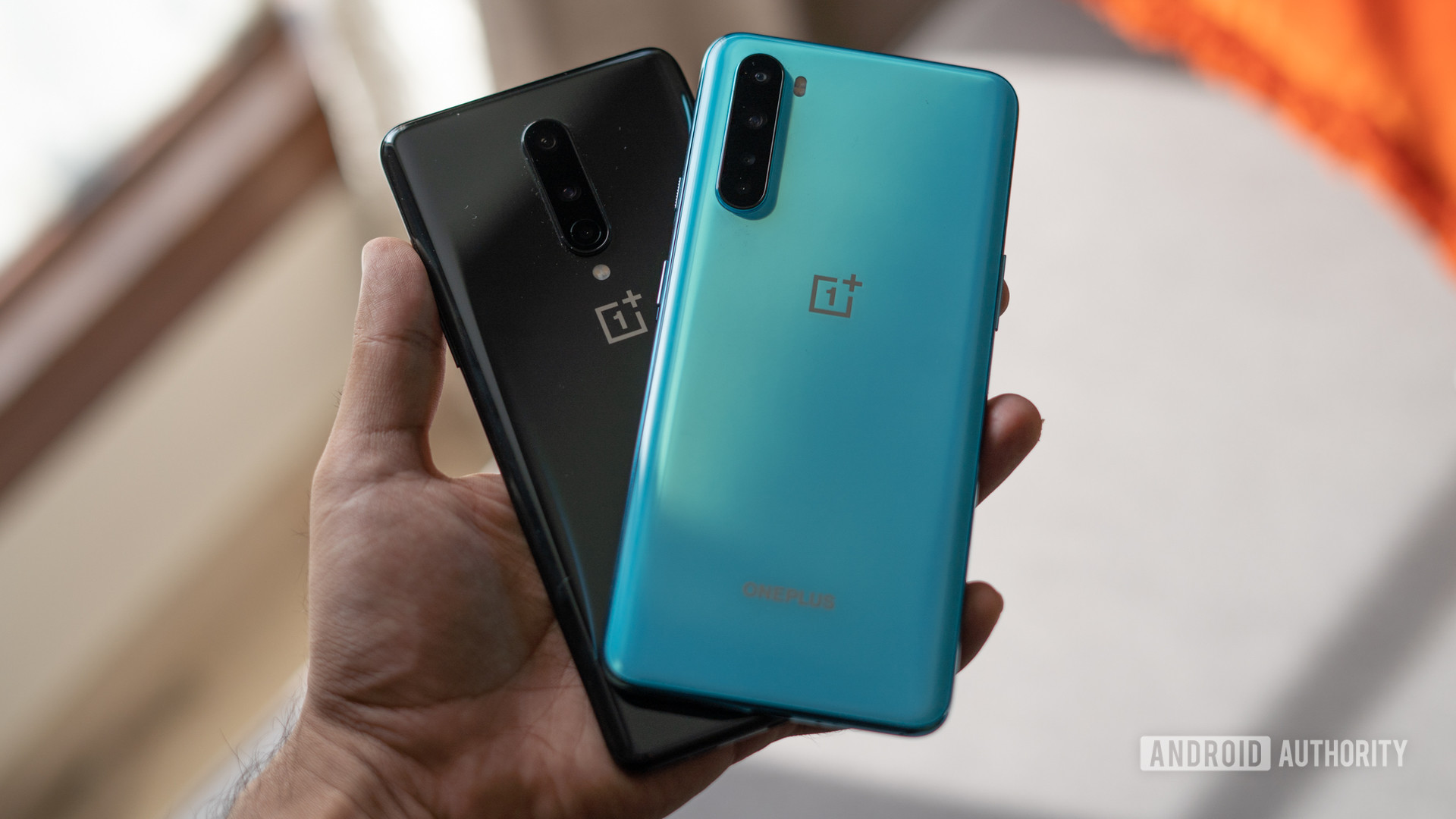 OnePlus Nord vs OnePlus 8 rear panel in hand