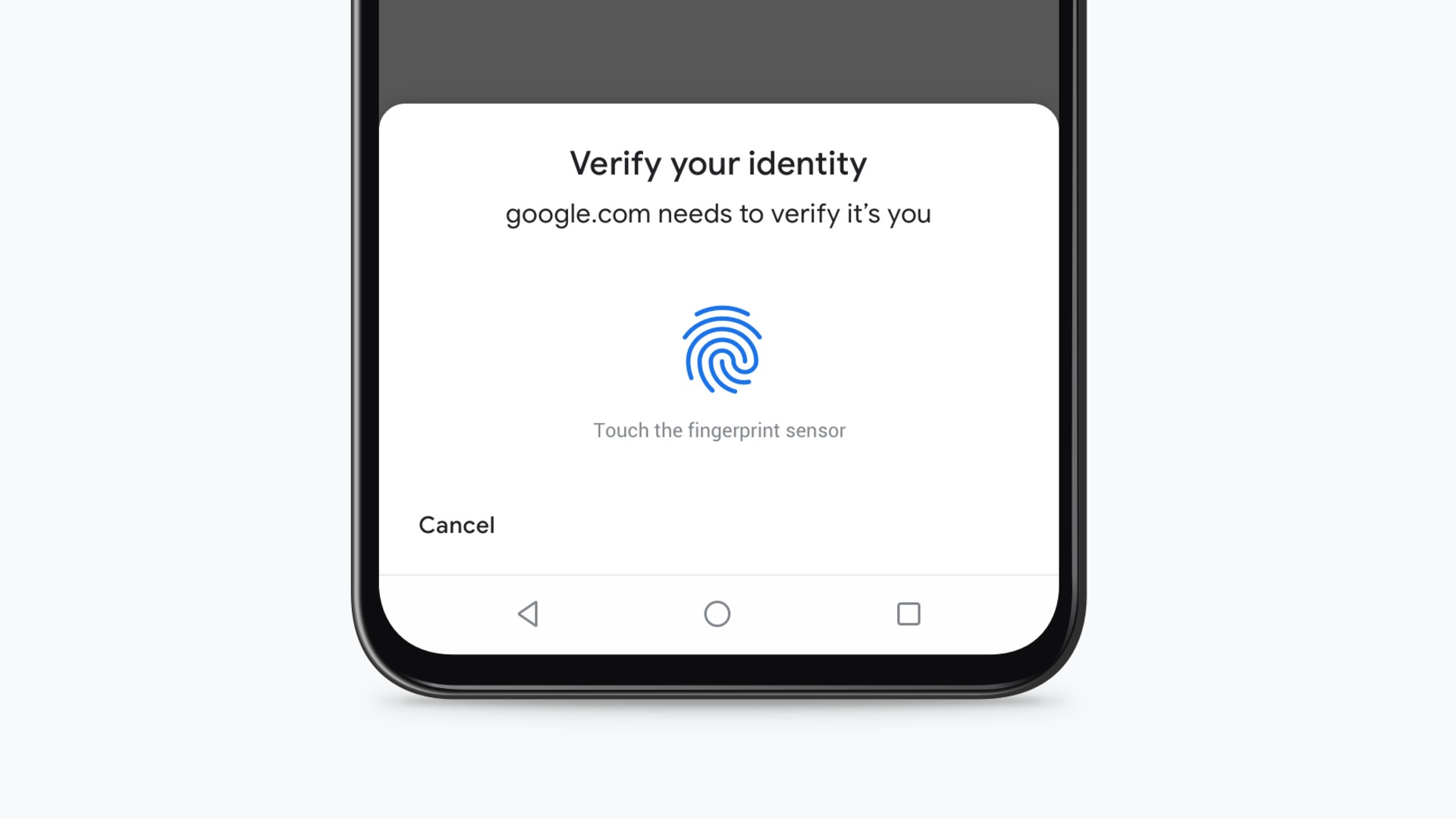 biometric authentication