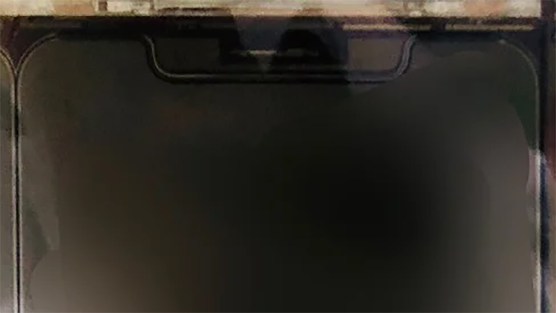 iPhone 12 Display Panel Leak