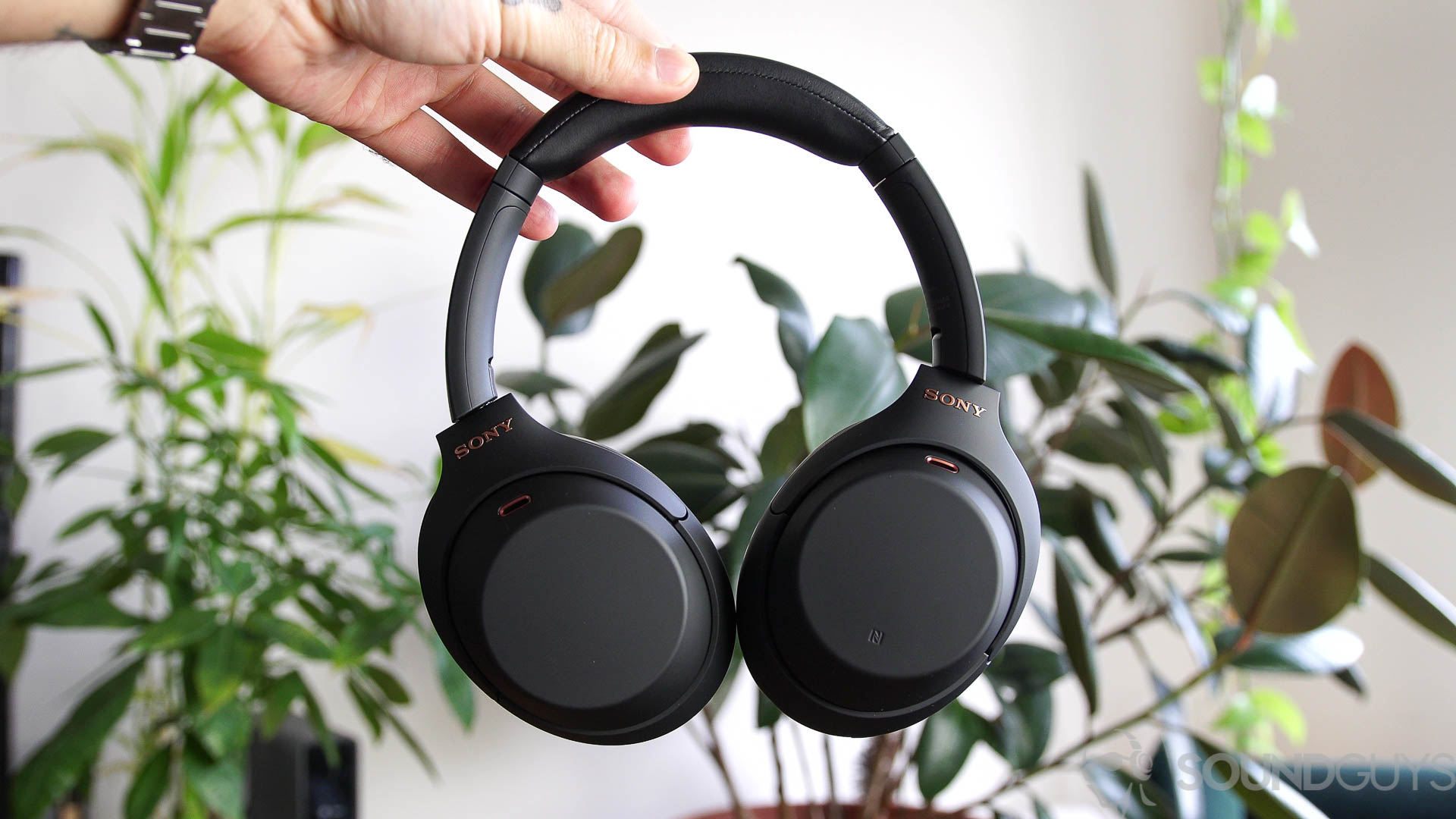 A photo of the Sony WH 1000XM4 noise cancelling headphones held by a man in front of indoor plants.