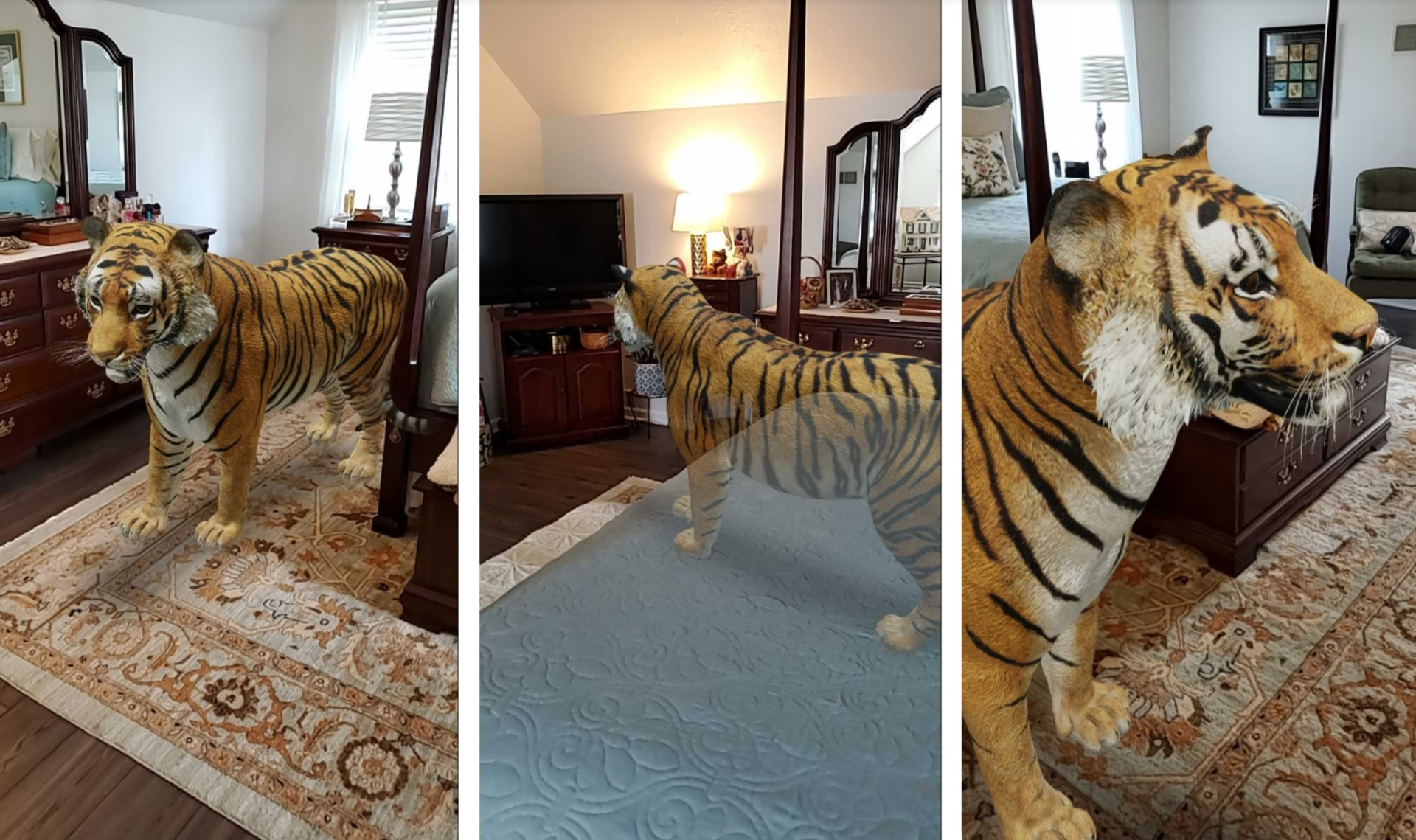 You can now video record Google's 3D animals and objects