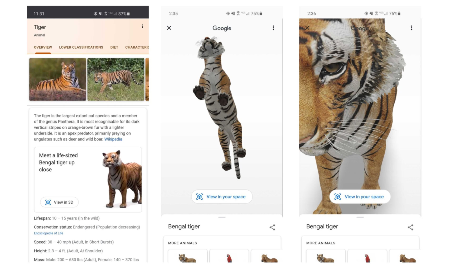 Google 3D Animals: How to see dog, tiger, duck, birds in your living room  on Android, iOS