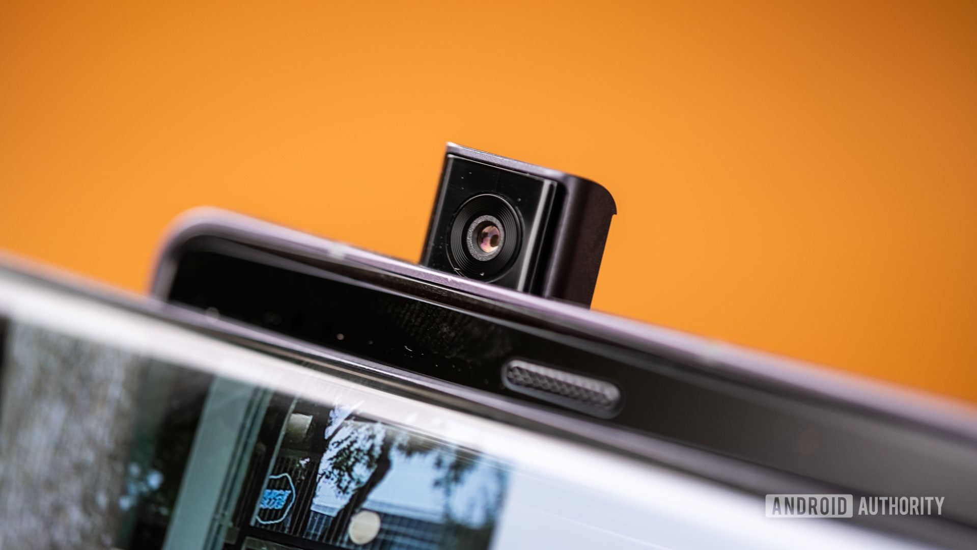 LG Wing selfie camera macro