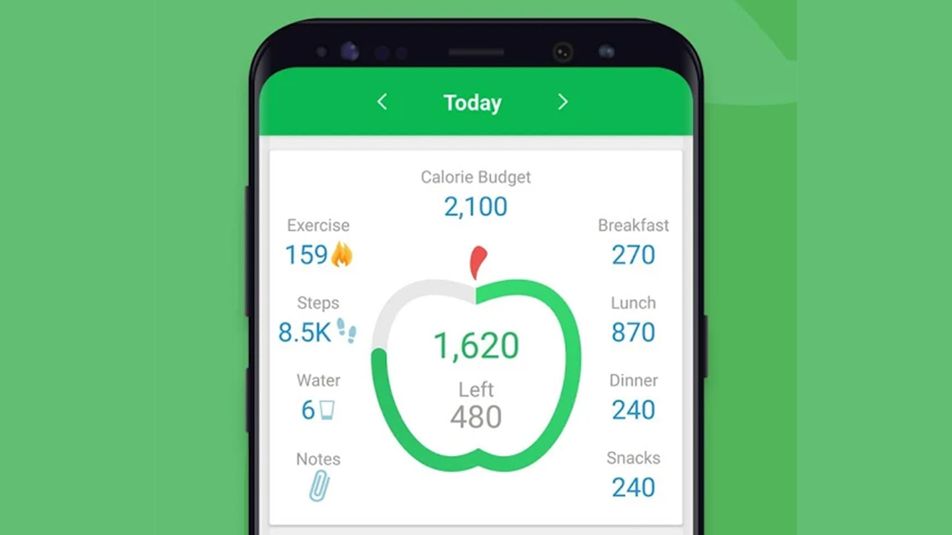 How Much Does it Cost to Develop a Calorie Counter App?, by The App Ideas