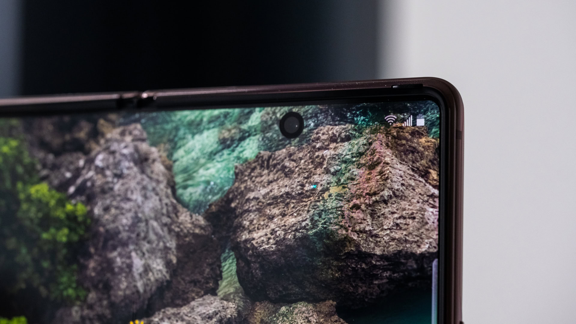 Samsung Galaxy Z Fold 2 punch hold selfe macro