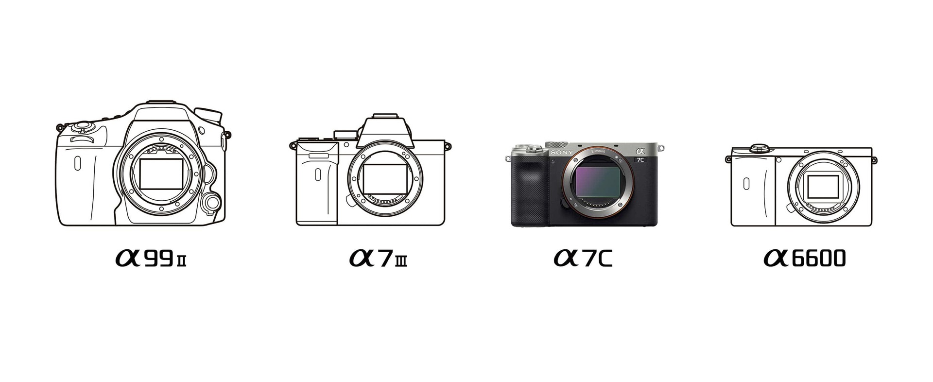 Sony Alpha A7C size comparison