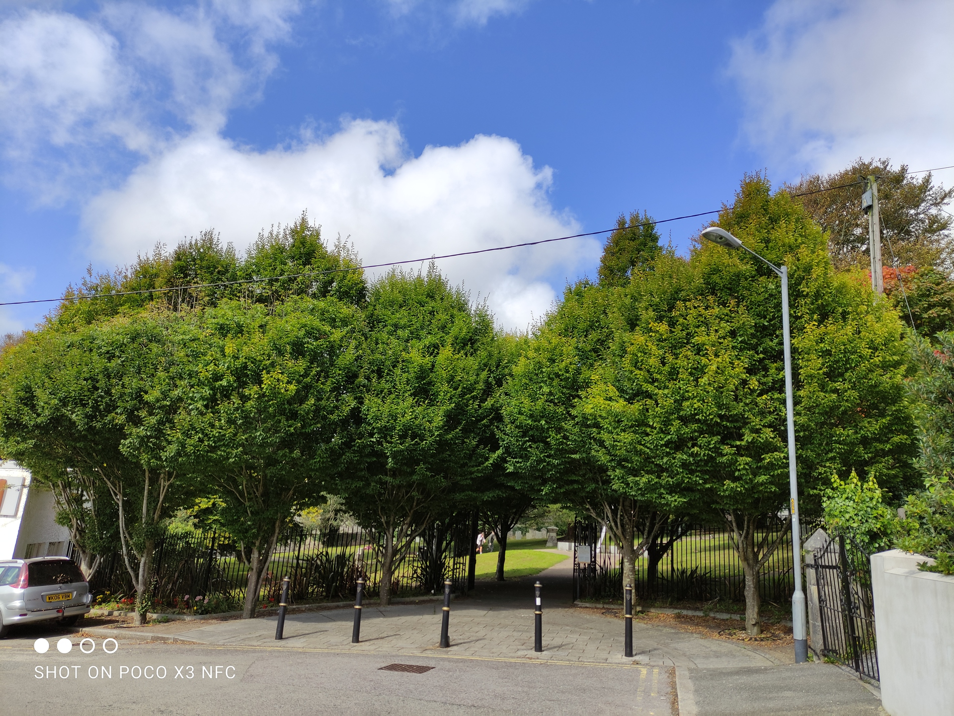 Xiaomi POCO X3 NFC HDR test of some shaded trees and bright sky