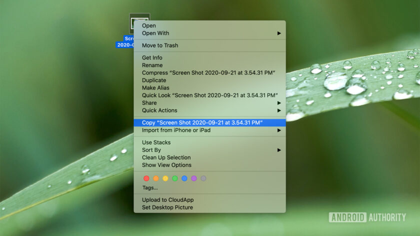 HOW TO COPY AND PASTE ON WINDOWS MAC IPHONE ANDROID visual data 2
