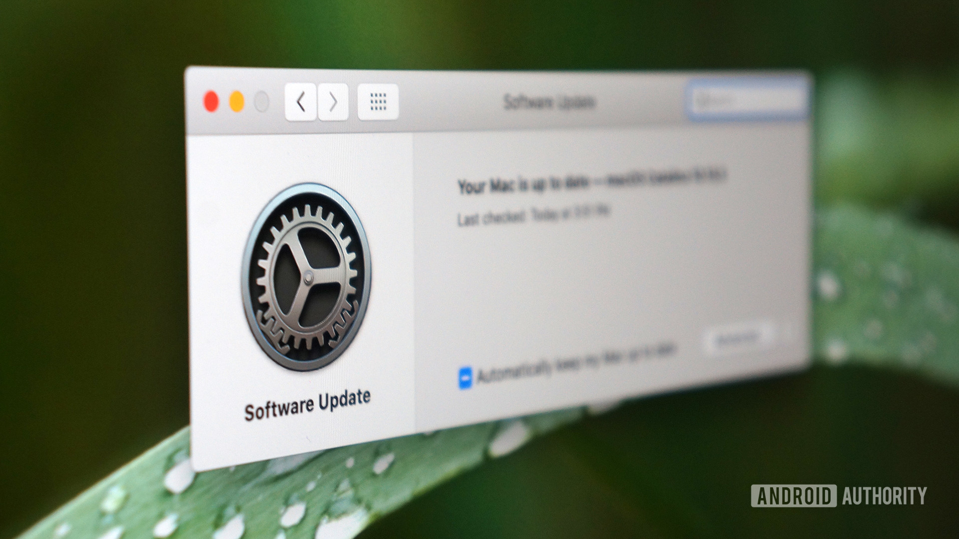 how to update mac