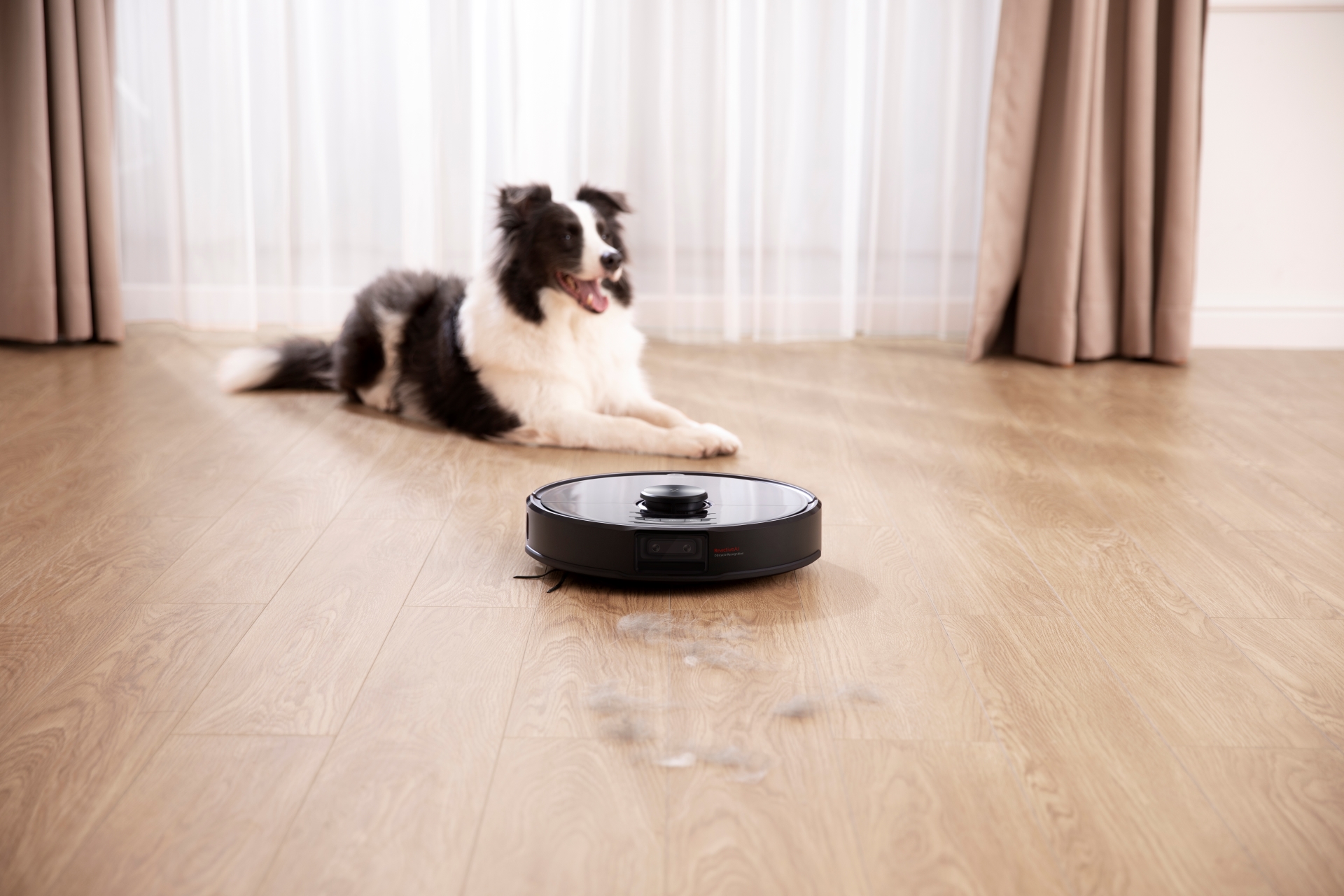 roborock s6 maxv dog