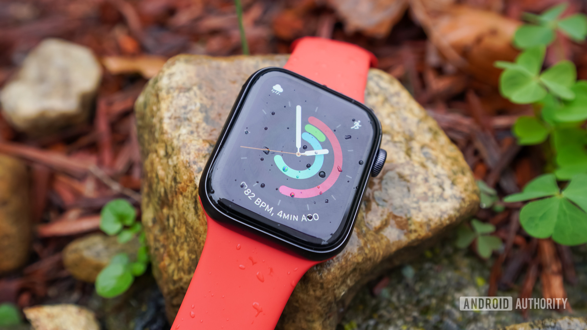 An Apple Watch SE with a red band, rests on a rock, sprinkled by rain. 