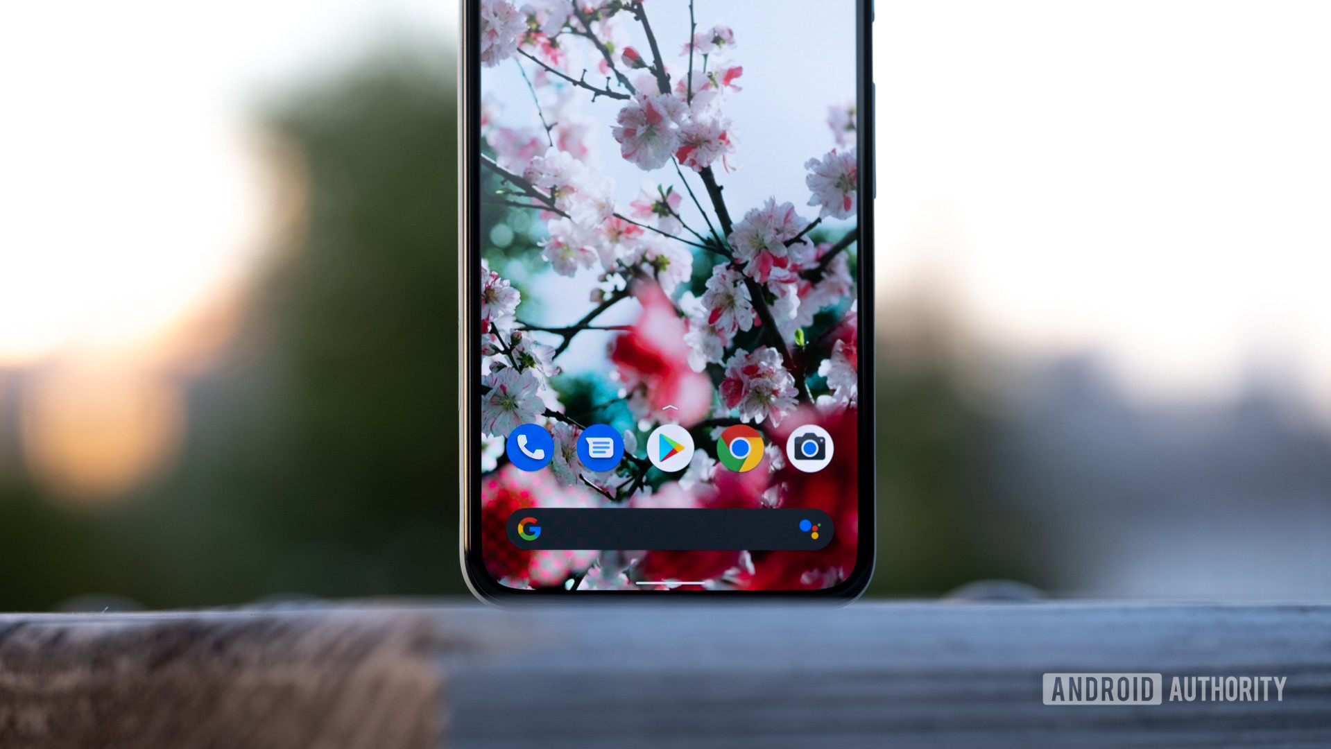 Google Pixel 5 standing up on table assistant bar macro 1